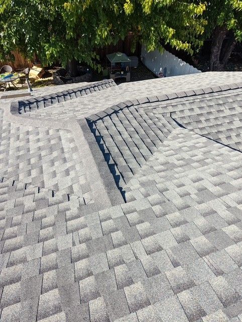 Gray asphalt shingle roof with dark trim and a tree in the background.