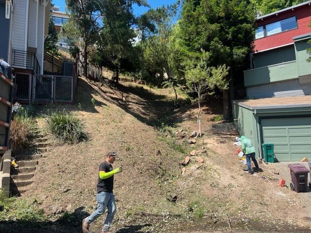 Excavation & Land Clearing