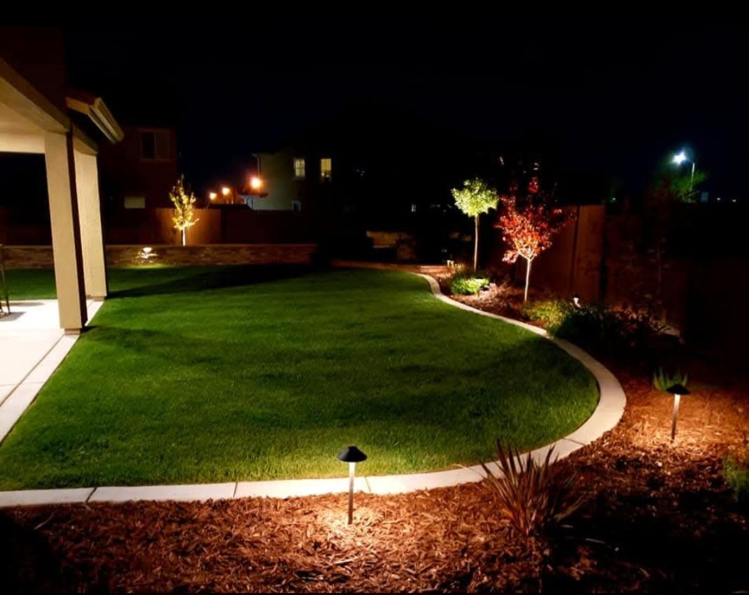 A well-lit backyard at night. Green lawn with curved border, pathway lights. Buildings and trees in the background.