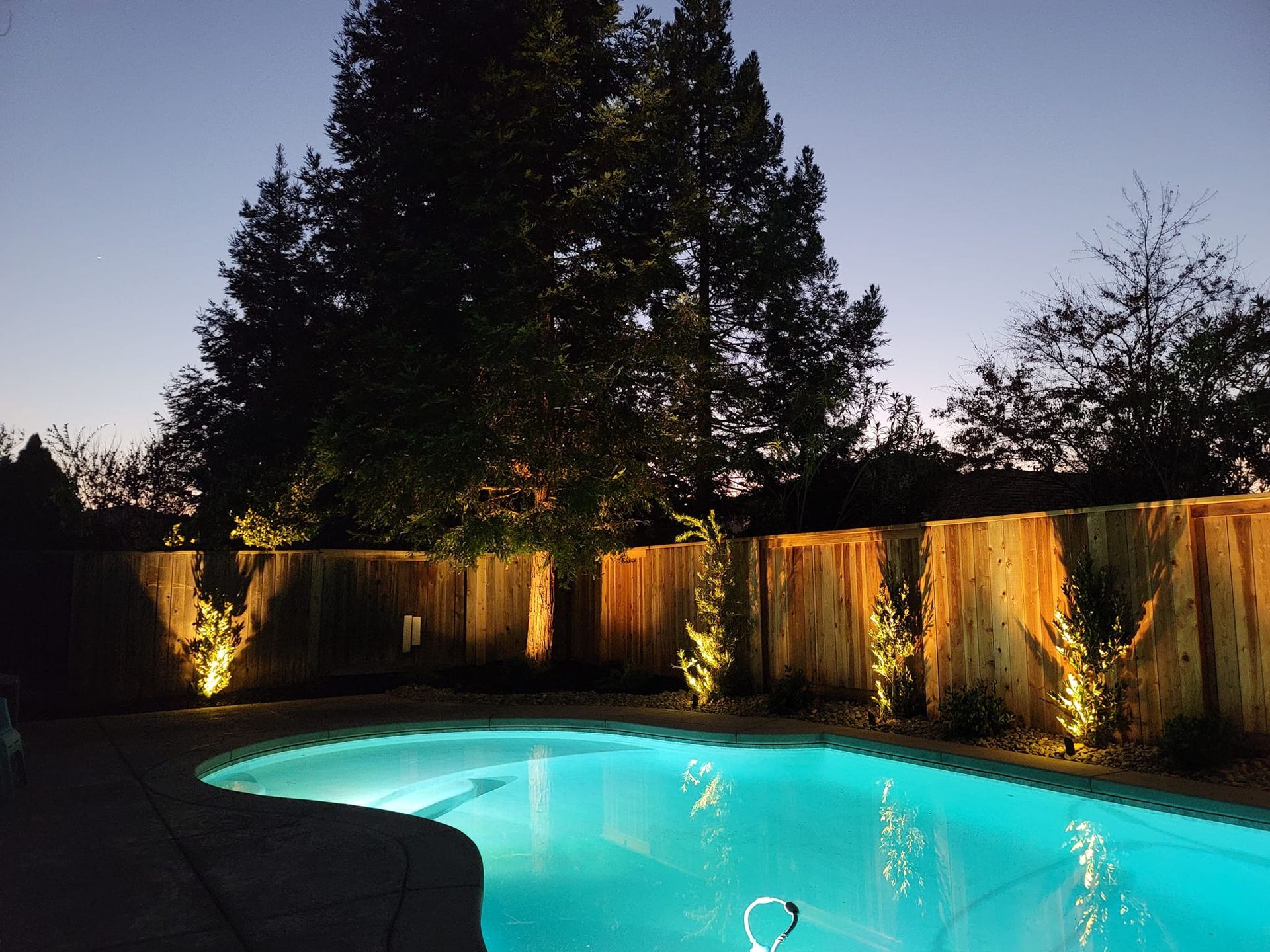 Backyard with pool and landscape lighting on plants and trees.