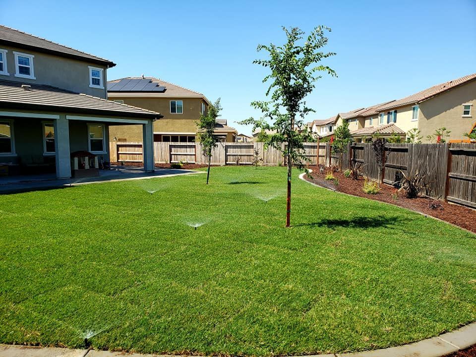 Lawn sprinklers spraying water on a green lawn in the backyard of a house with complete landscaping.