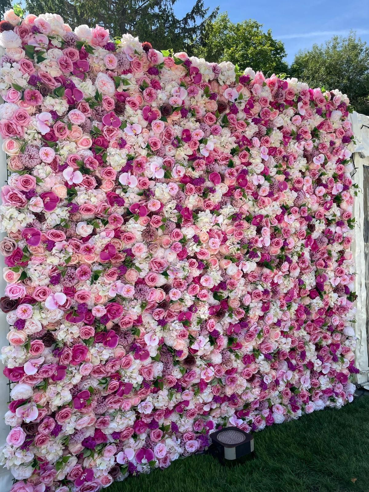 A vibrant wall of pink, white, and magenta flowers outdoors, perfect for photo opportunities.