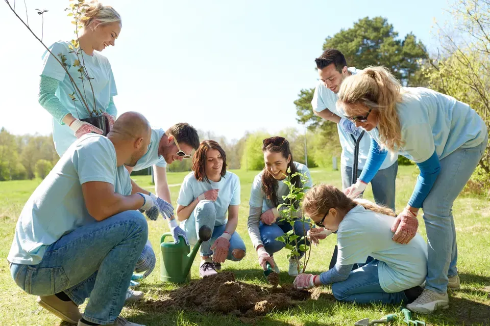Group of volunteers planting a tree in a sunny park. They wear light blue shirts and jeans, working together.