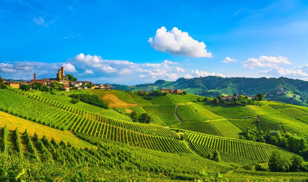 Un paesaggio di un vigneto con un piccolo villaggio sullo sfondo.