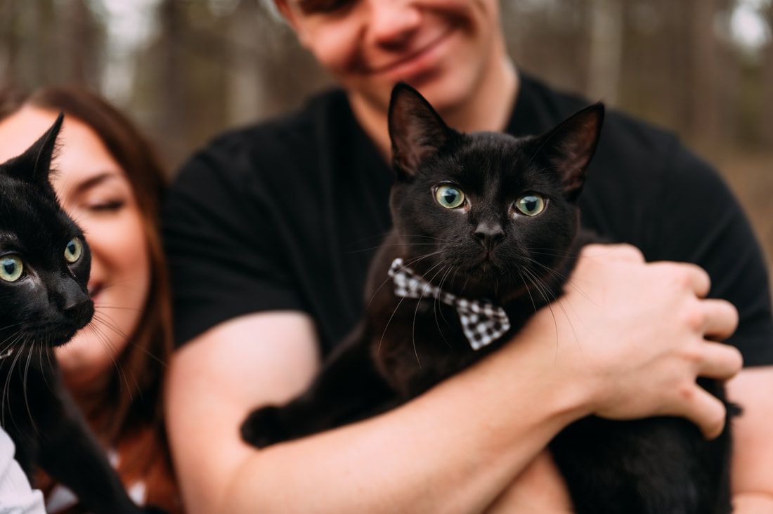 A man and a woman are holding two black cats in their arms.