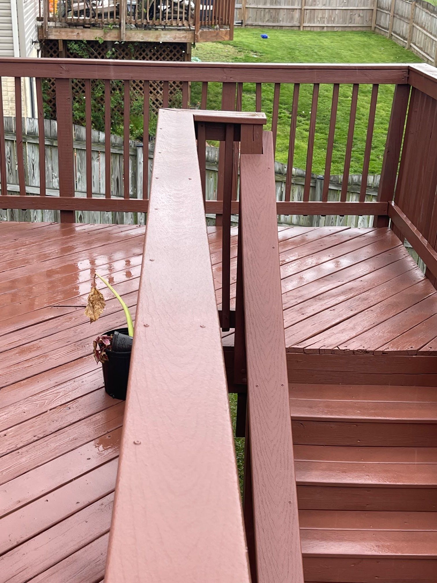 A wooden deck with stairs and a potted plant on it.