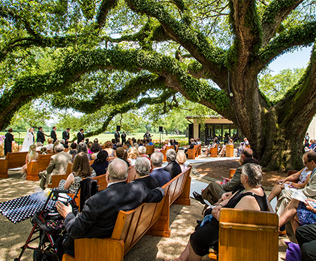 A group of people are sitting in a church under a tree.