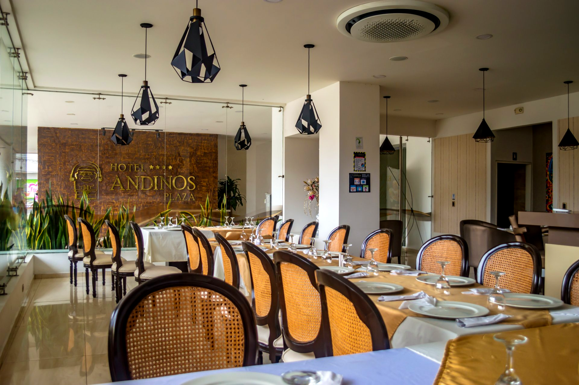 bar hotel andinos plaza florencia
