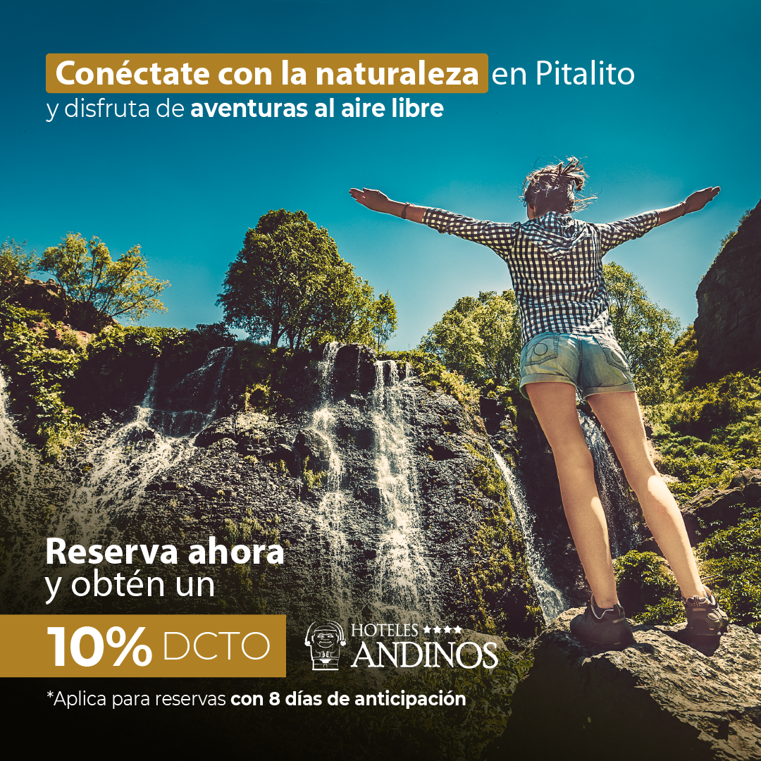promocion 19 por ciento descuento hotel andinos plaza pitalito