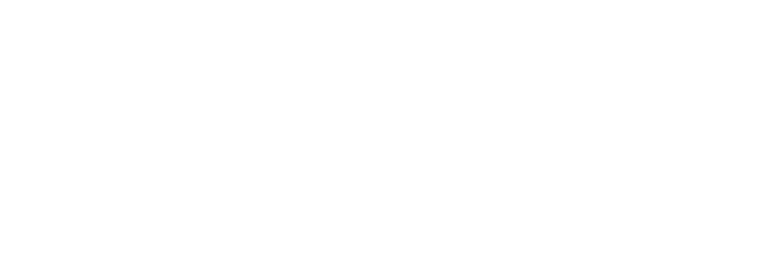 hotel andinos plaza logo