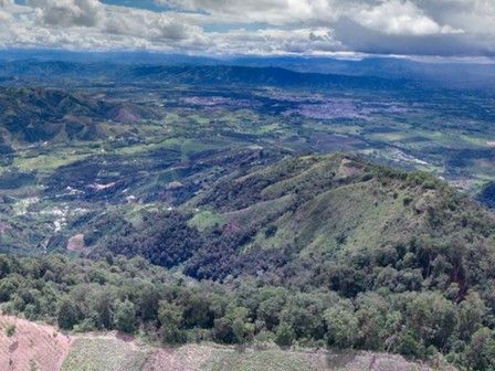 avistamiento de aves en colombia