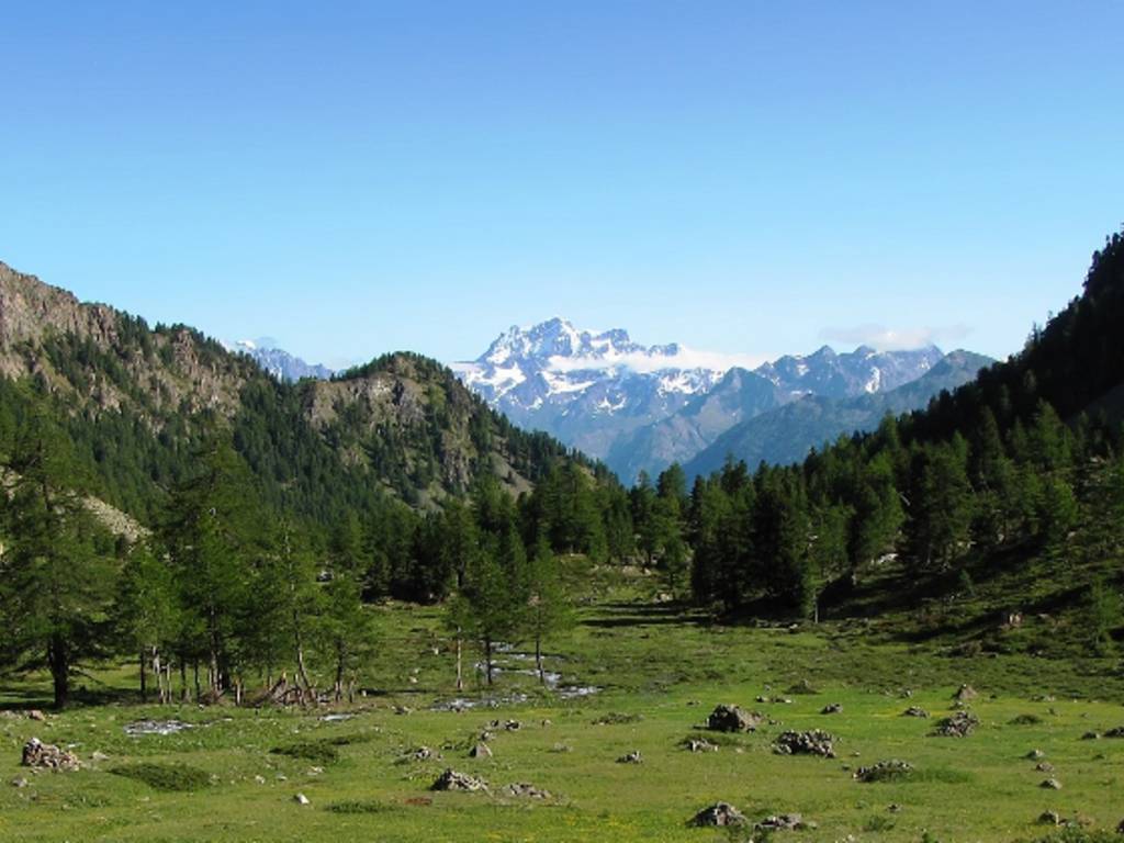 cancello in ferro grigio scuro