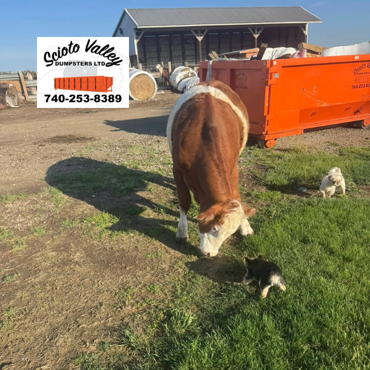 Dumpster Rental Near Me