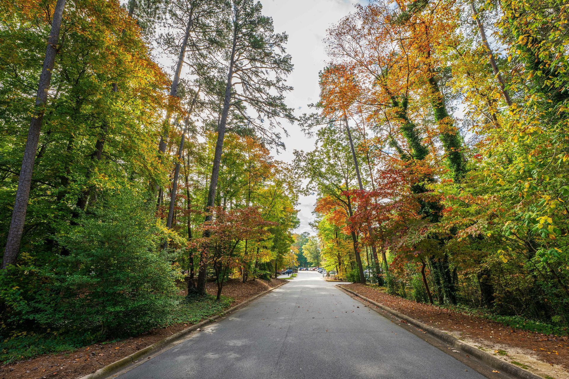 High-quality business cards printed with precision and style to make a strong, professional first impression.