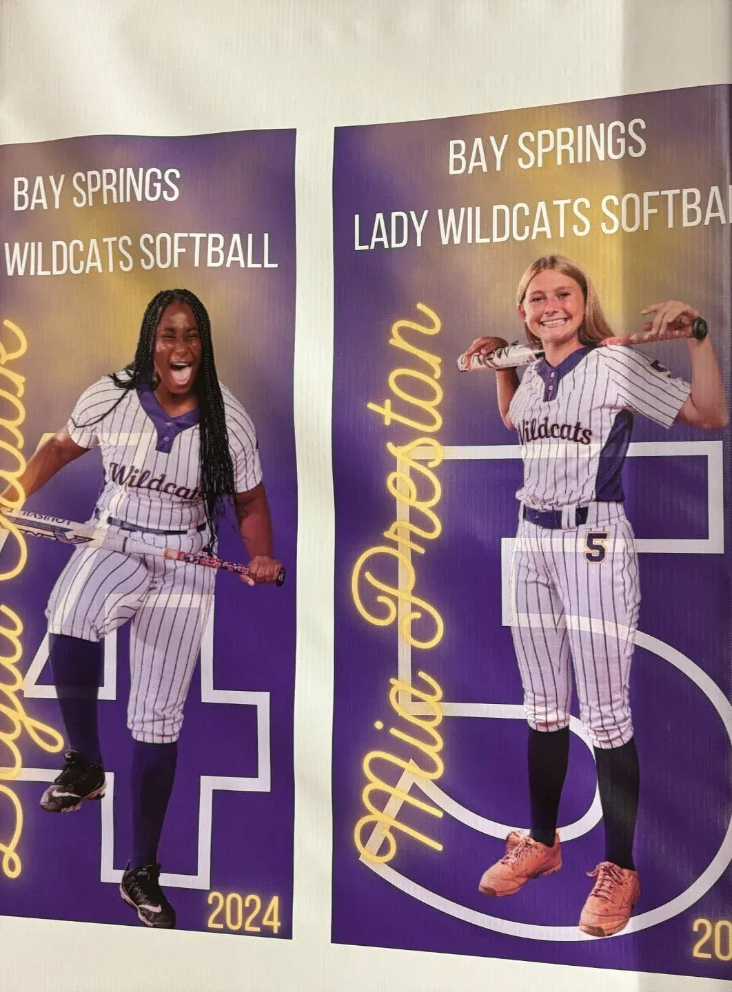 High-quality custom banners for events, promotions, and businesses. Durable materials with vibrant, full-color printing.