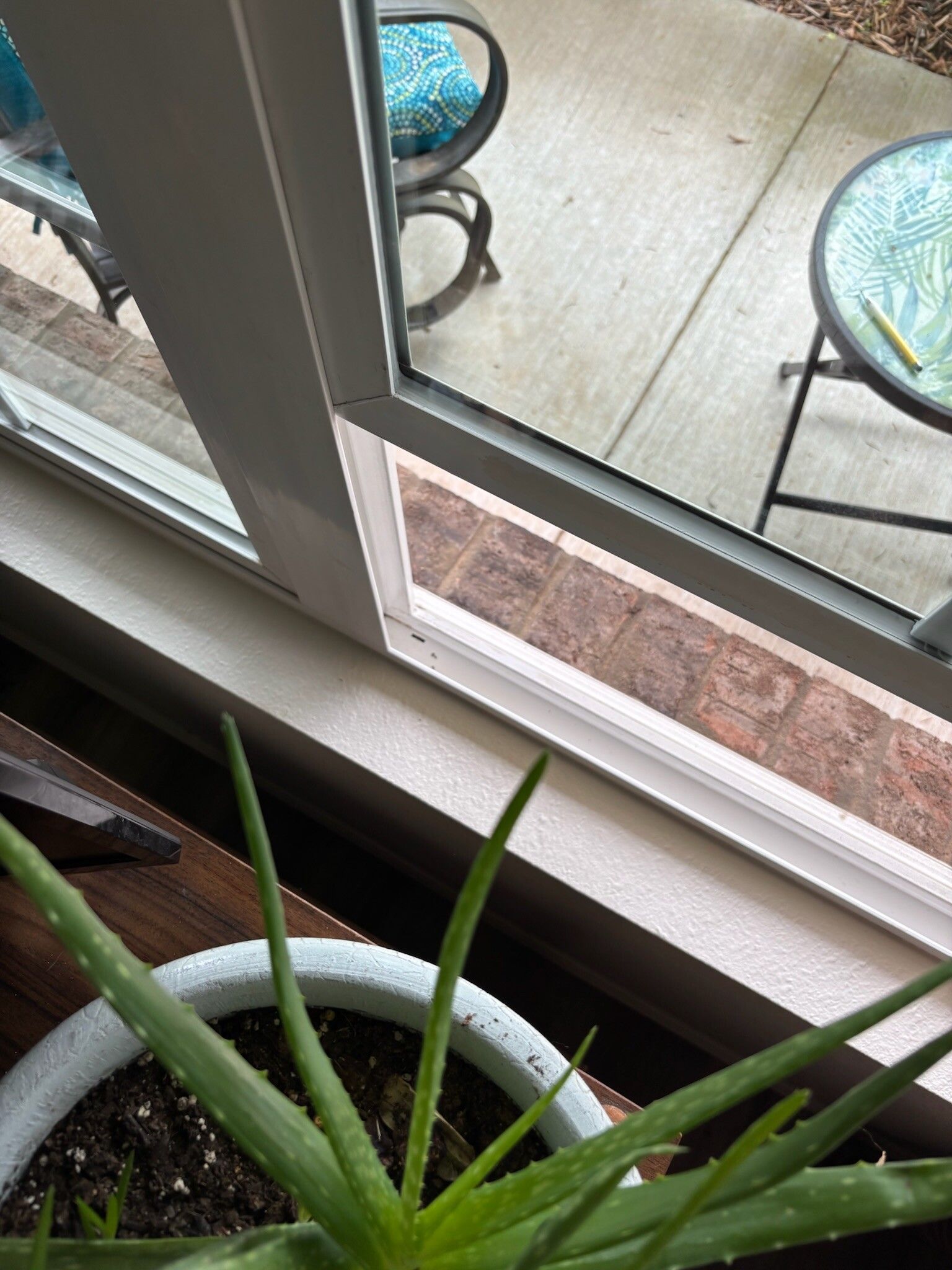 Aloe vera plant in a white pot on a windowsill, with a partially open window looking out at outdoor furniture.