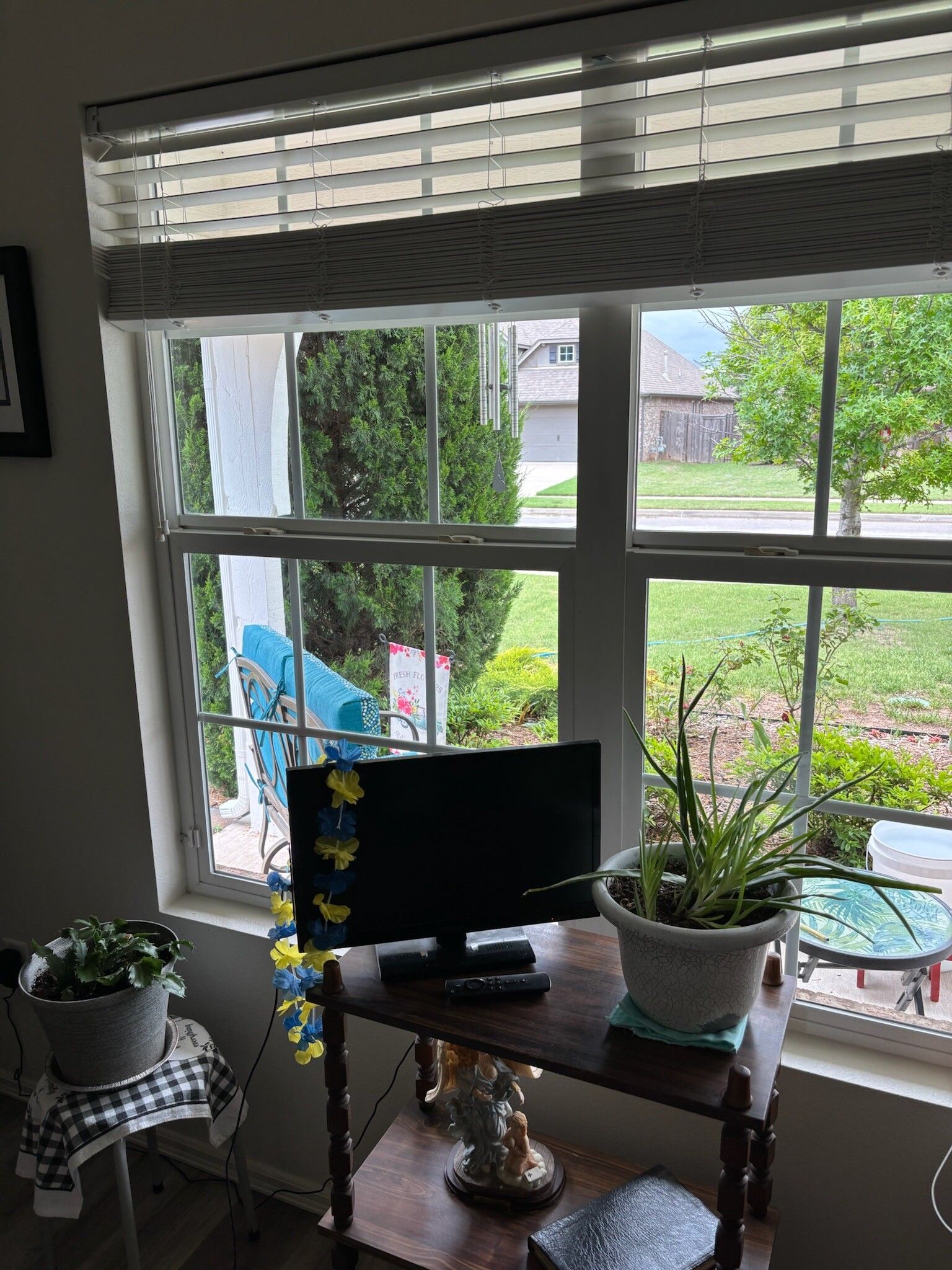 Window with blinds, small TV, potted plants, and view of yard with trees and house.