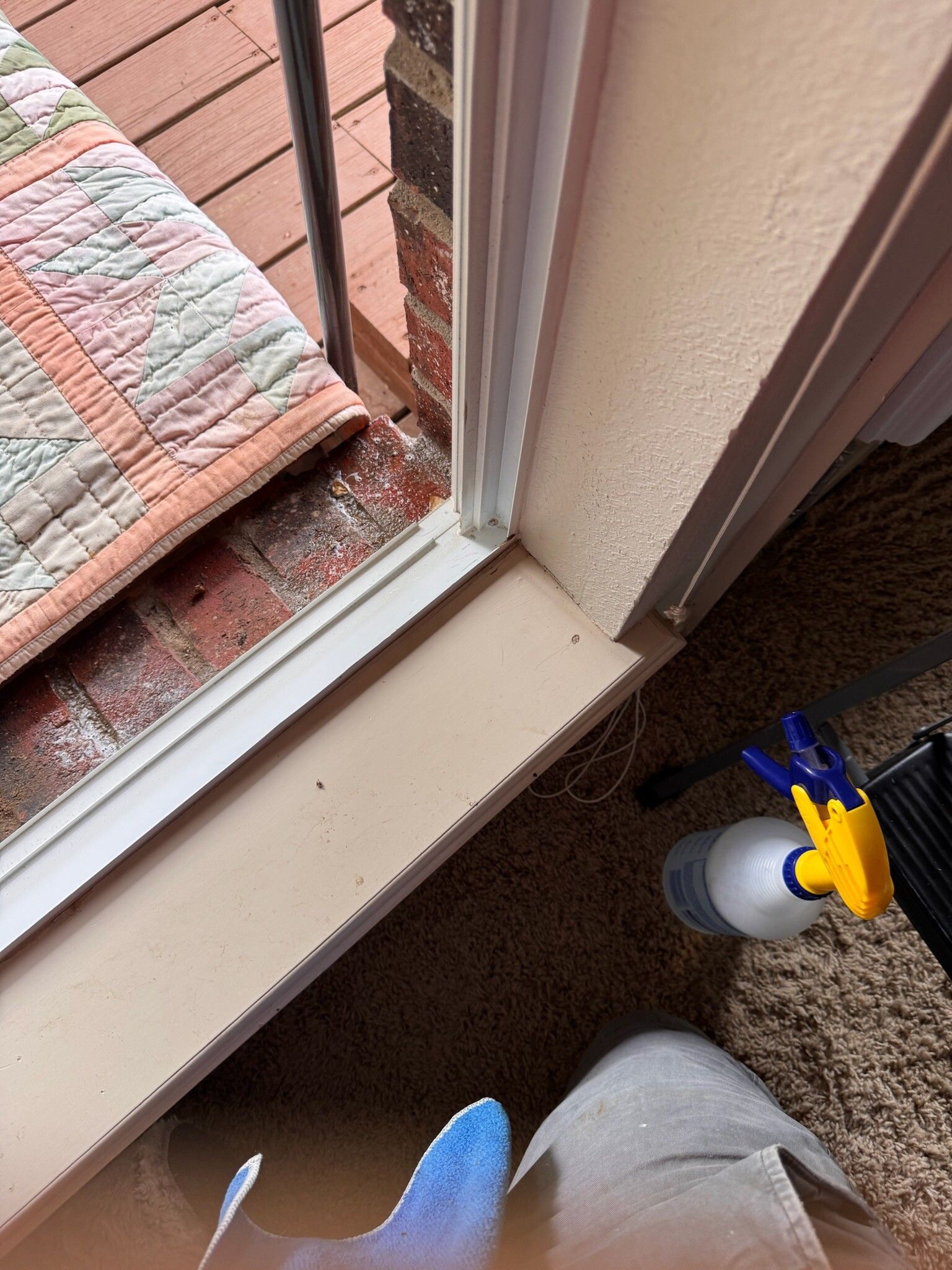 Spraying insecticide near a window. A rug and brick exterior are visible outside.