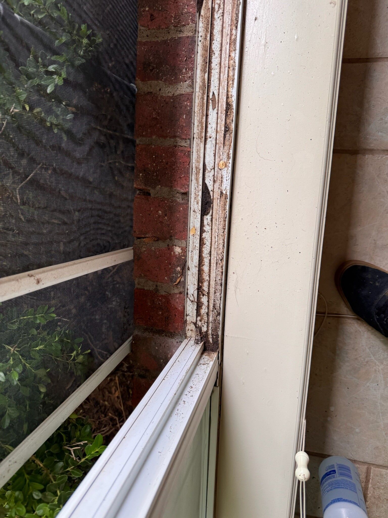 Brick wall and window frame with peeling paint. Patio and mesh screen visible.