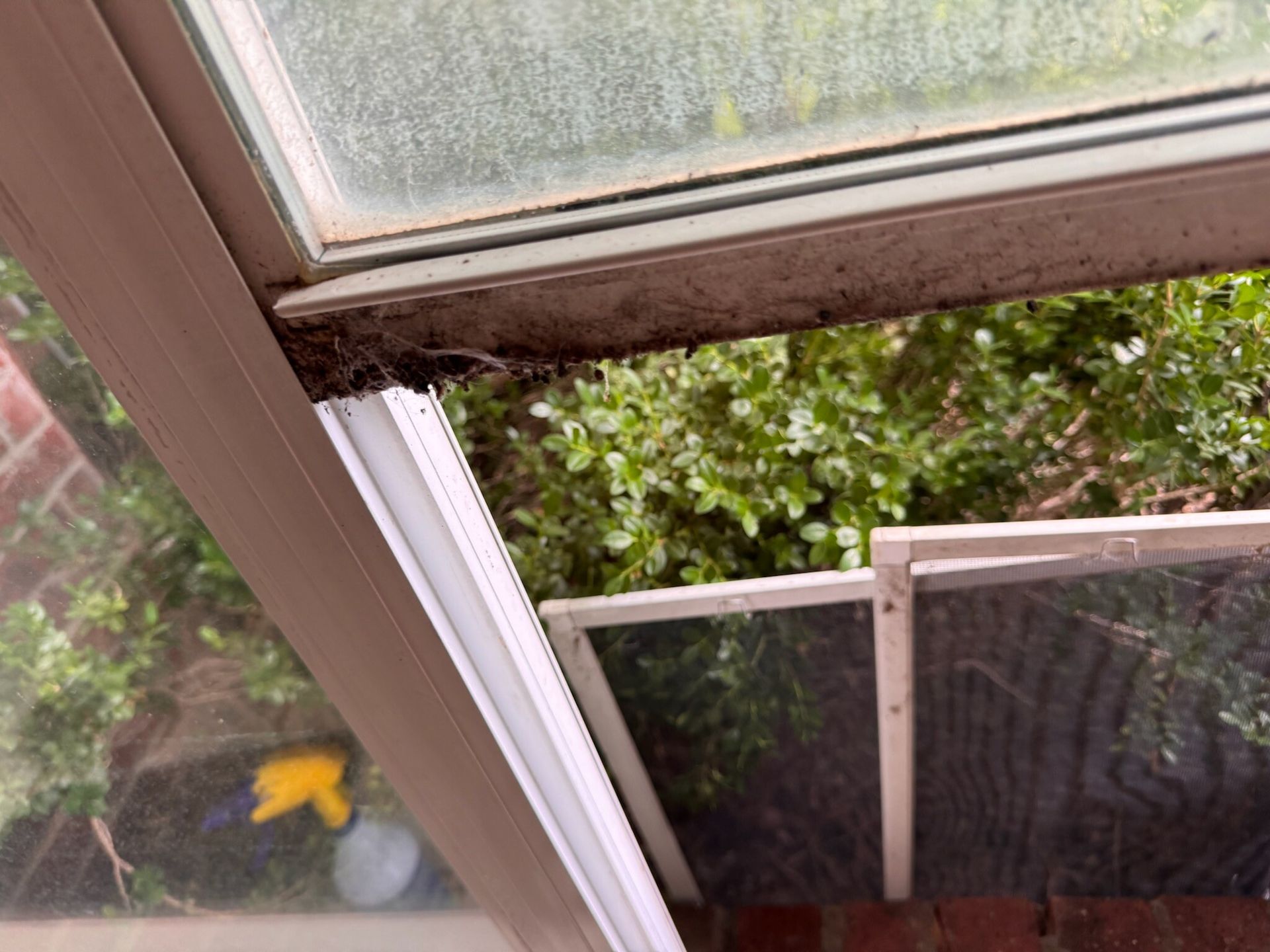 Window frame open, showing dirty ledge with debris and a screen, view of green foliage outside.