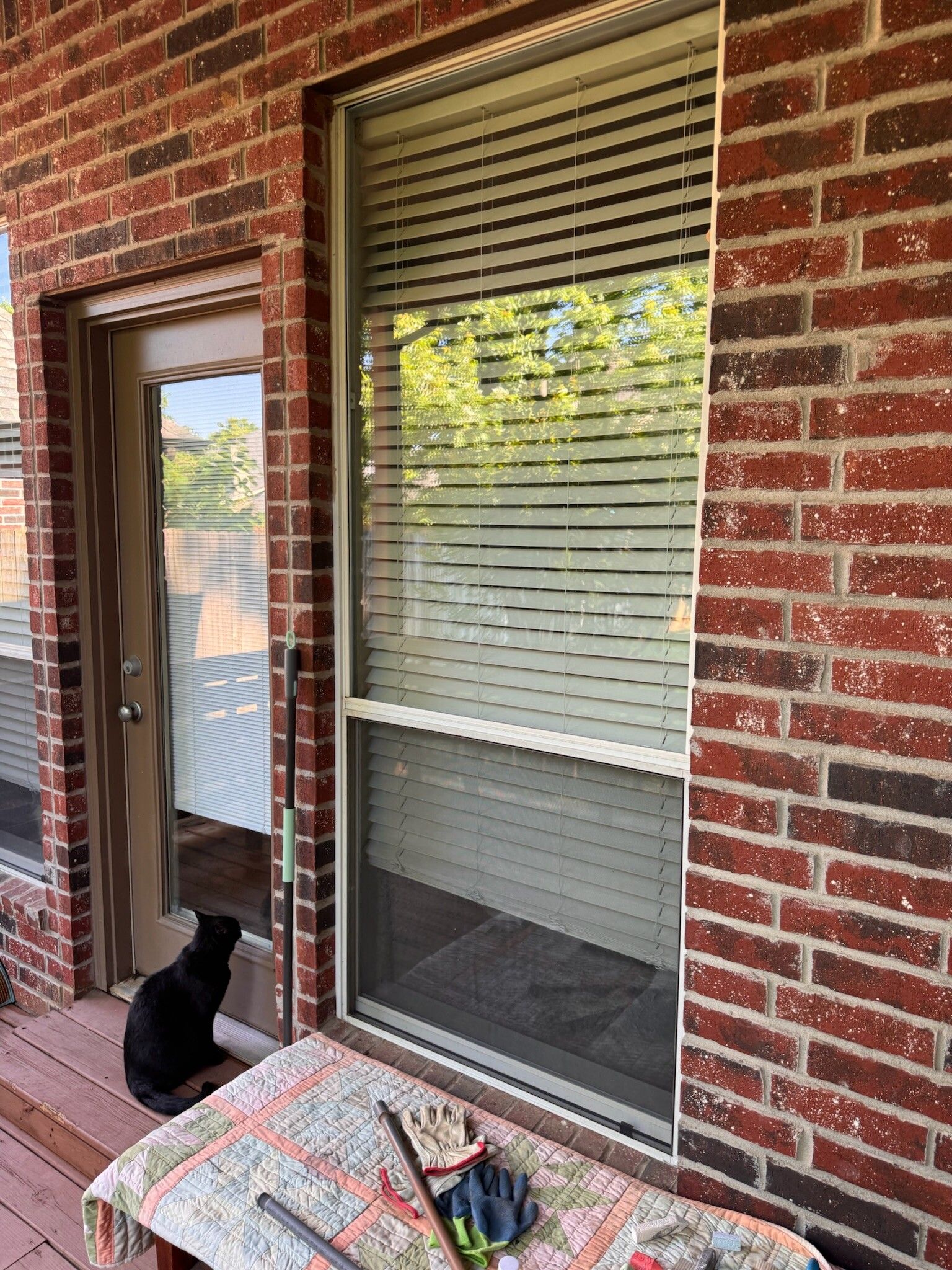 Black cat sits near glass door on brick patio, window blinds closed.