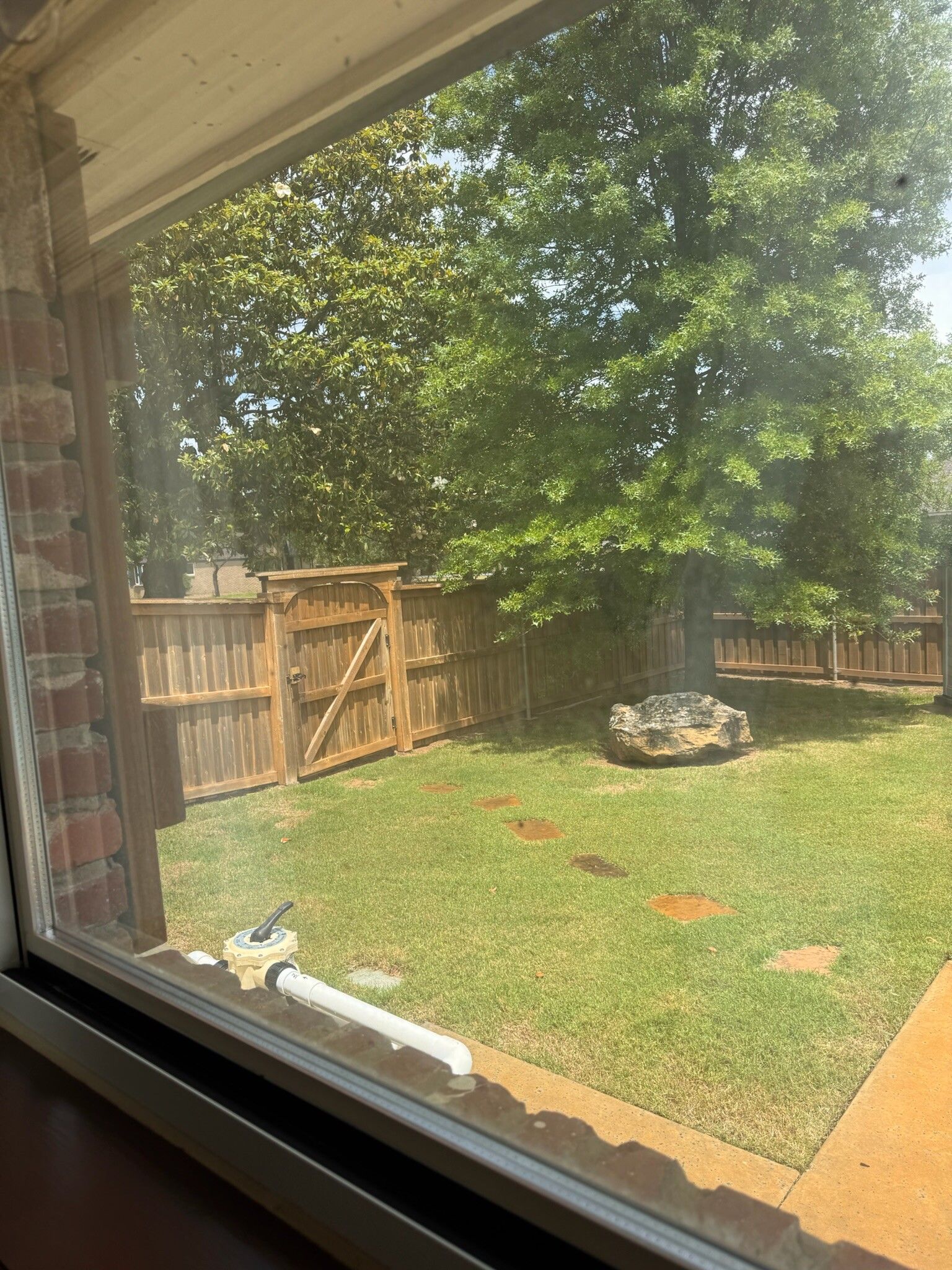 View from a window of a backyard with green grass, trees, a wooden fence, and a stone fire pit.