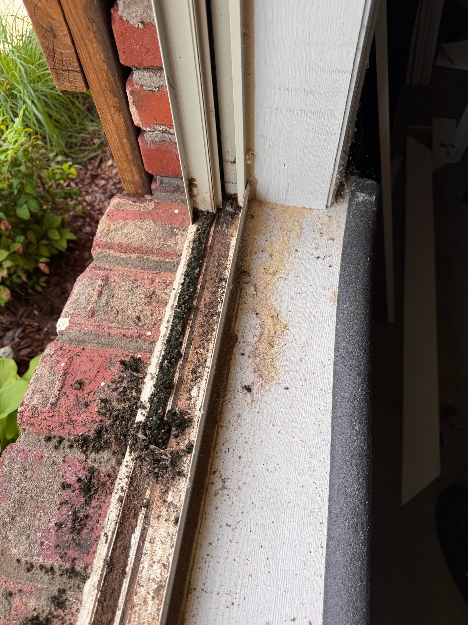 Close-up of a window frame with black mold. The frame is old and dirty, with brick and siding visible.