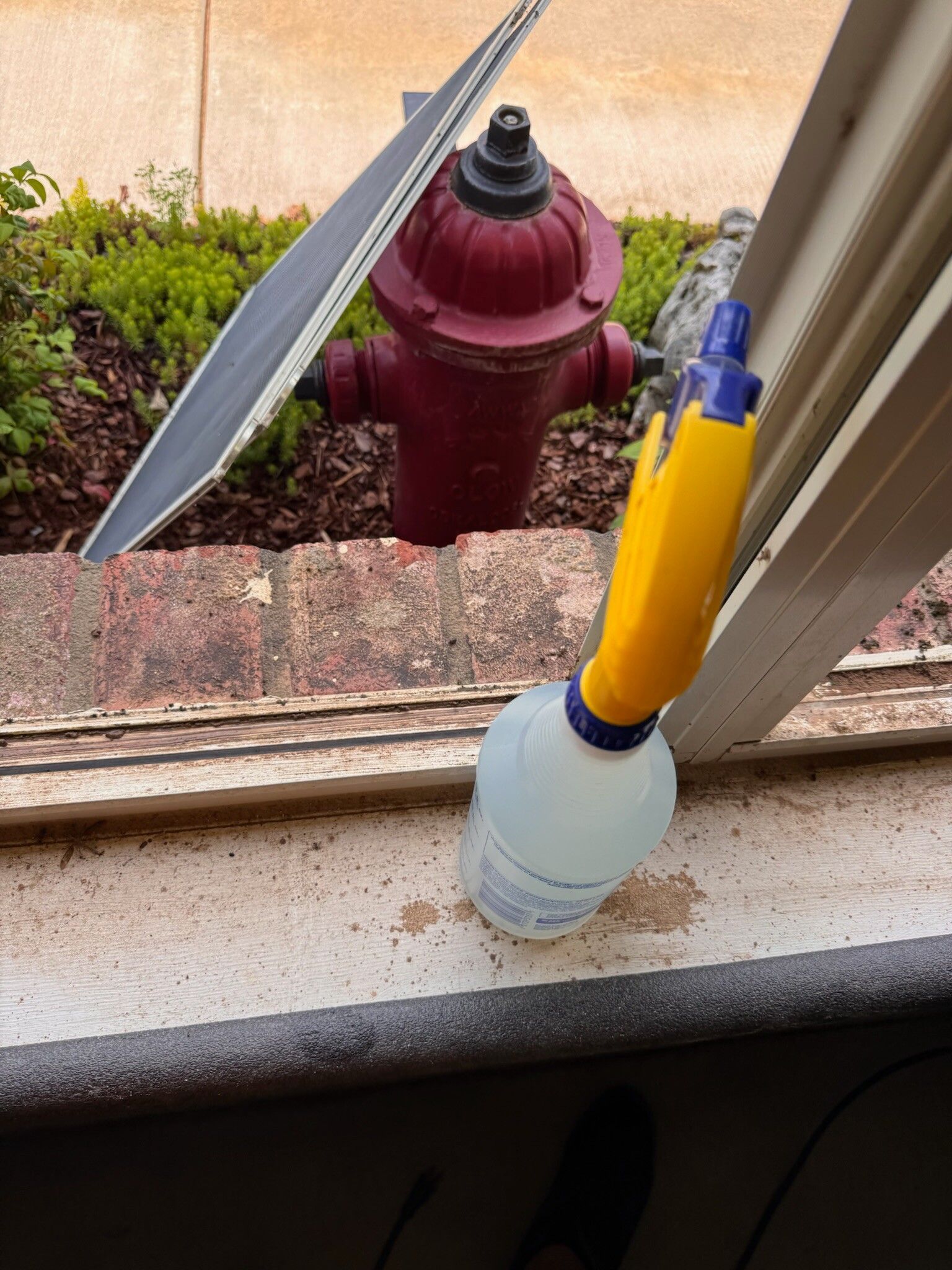 Spray bottle with yellow handle on window sill, red fire hydrant in background.