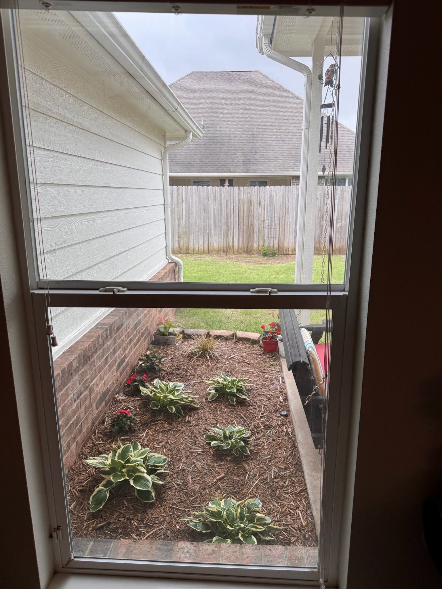 Window view of a small garden bed with hostas and a lawn, a fence, and a neighbor’s house.