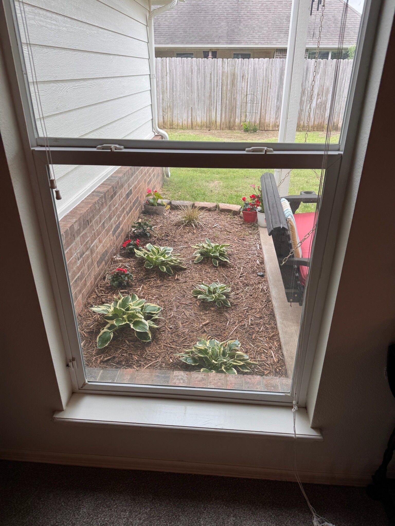 View through a window, showing a small garden with plants and a wooden fence.