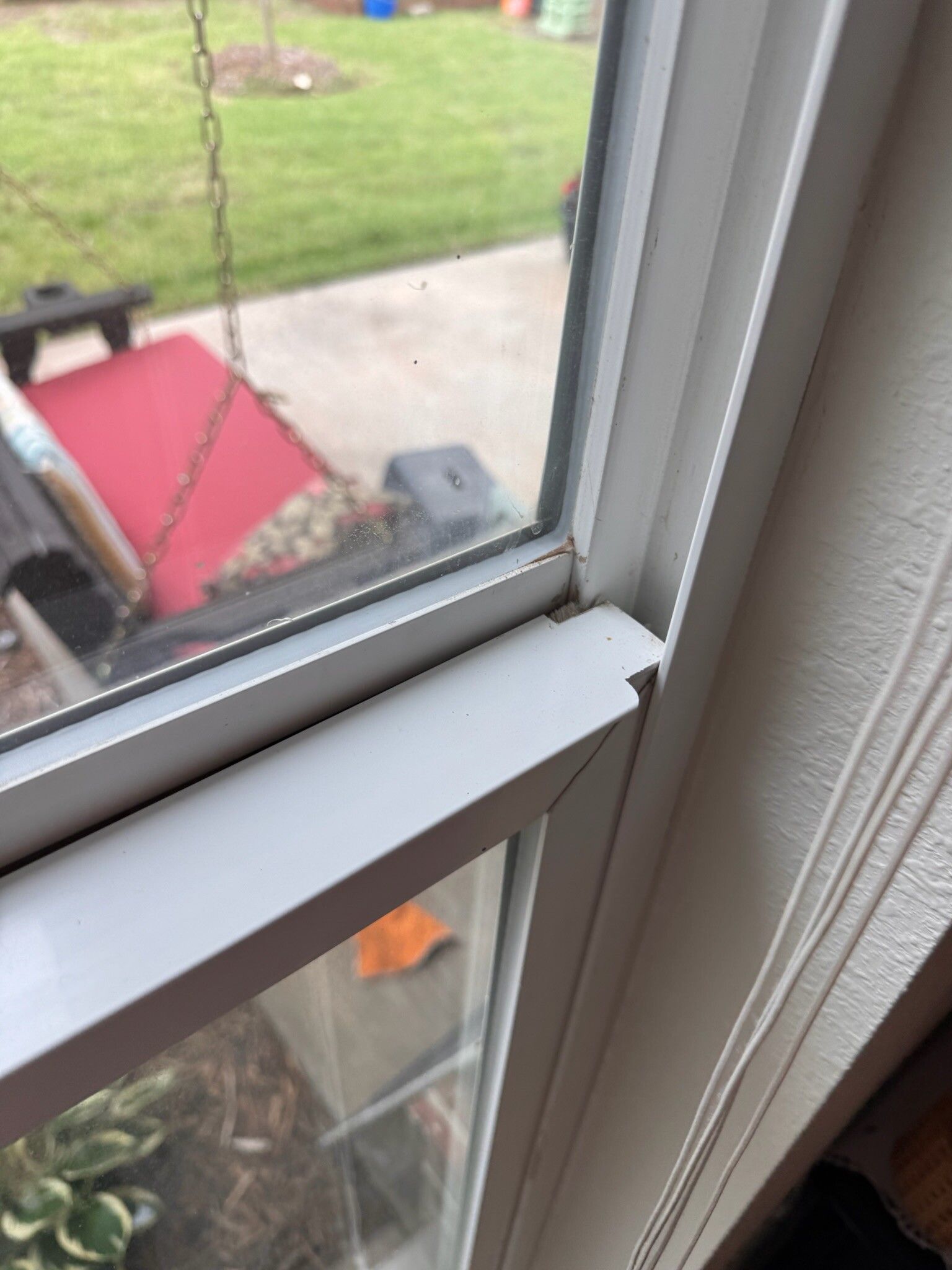 White window frame corner, with the outside yard visible through the glass.