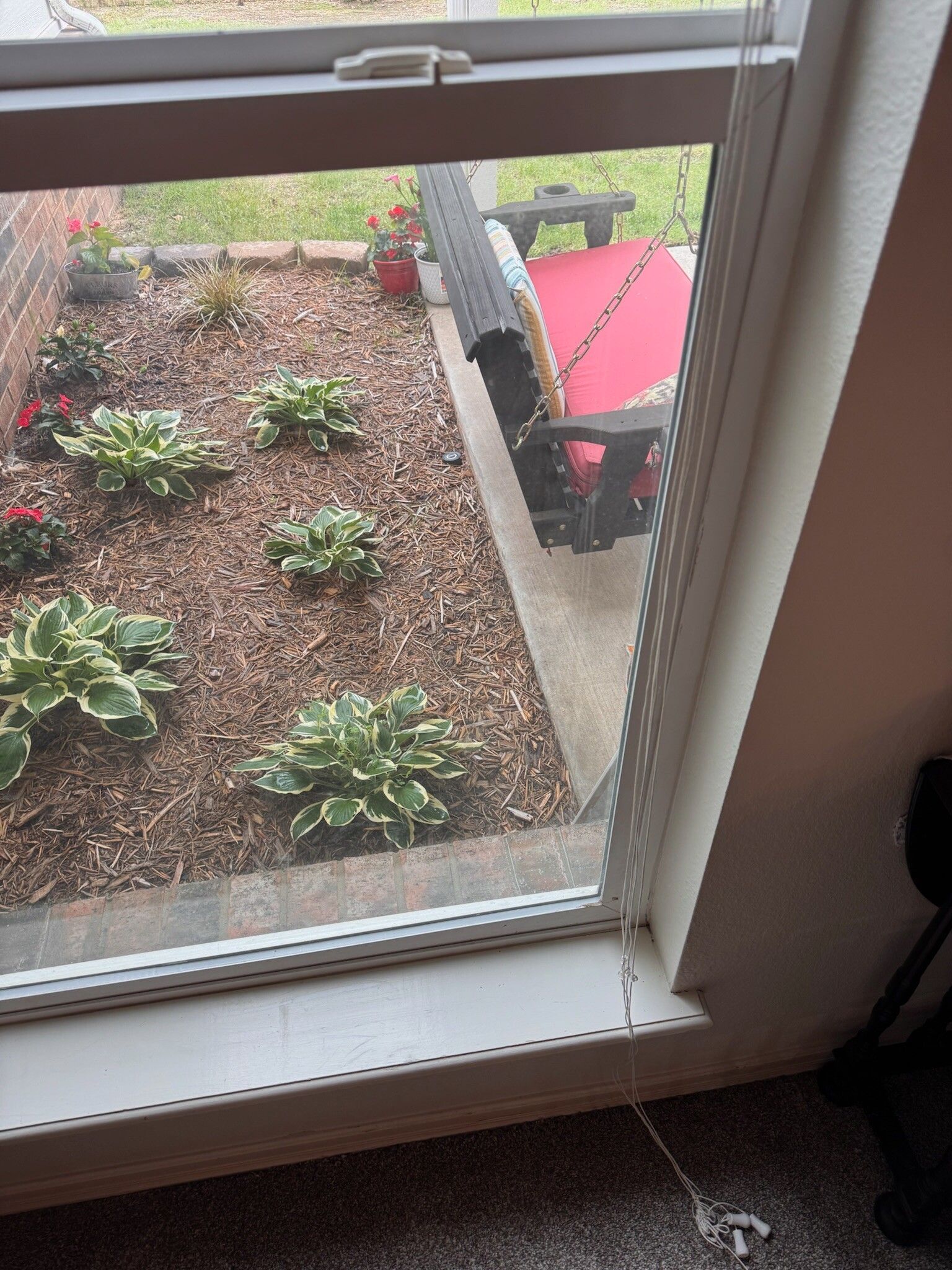 Window view of a garden bed with plants, mulch, and a bench with a red cushion.