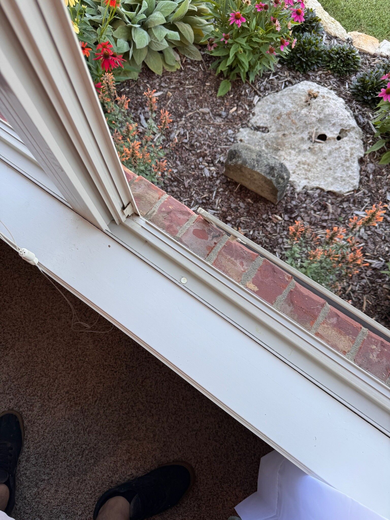 Broken window frame over a brick ledge, with a garden in the background.