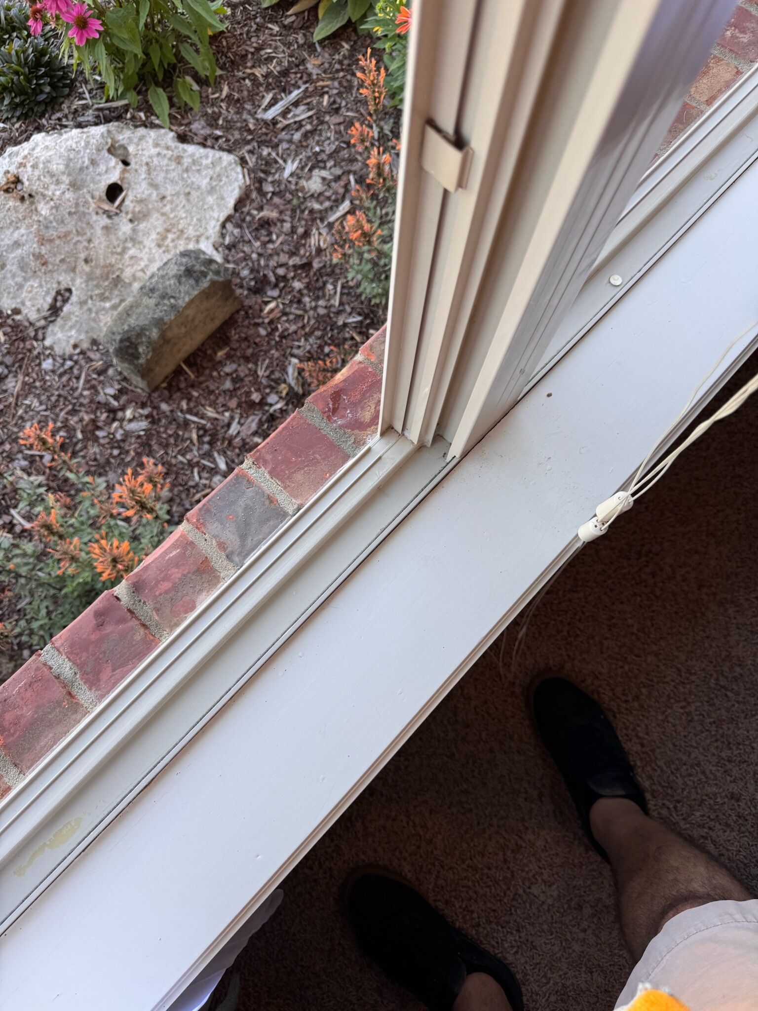 View from window: feet in black shoes, brick wall, landscaping, and window frame.