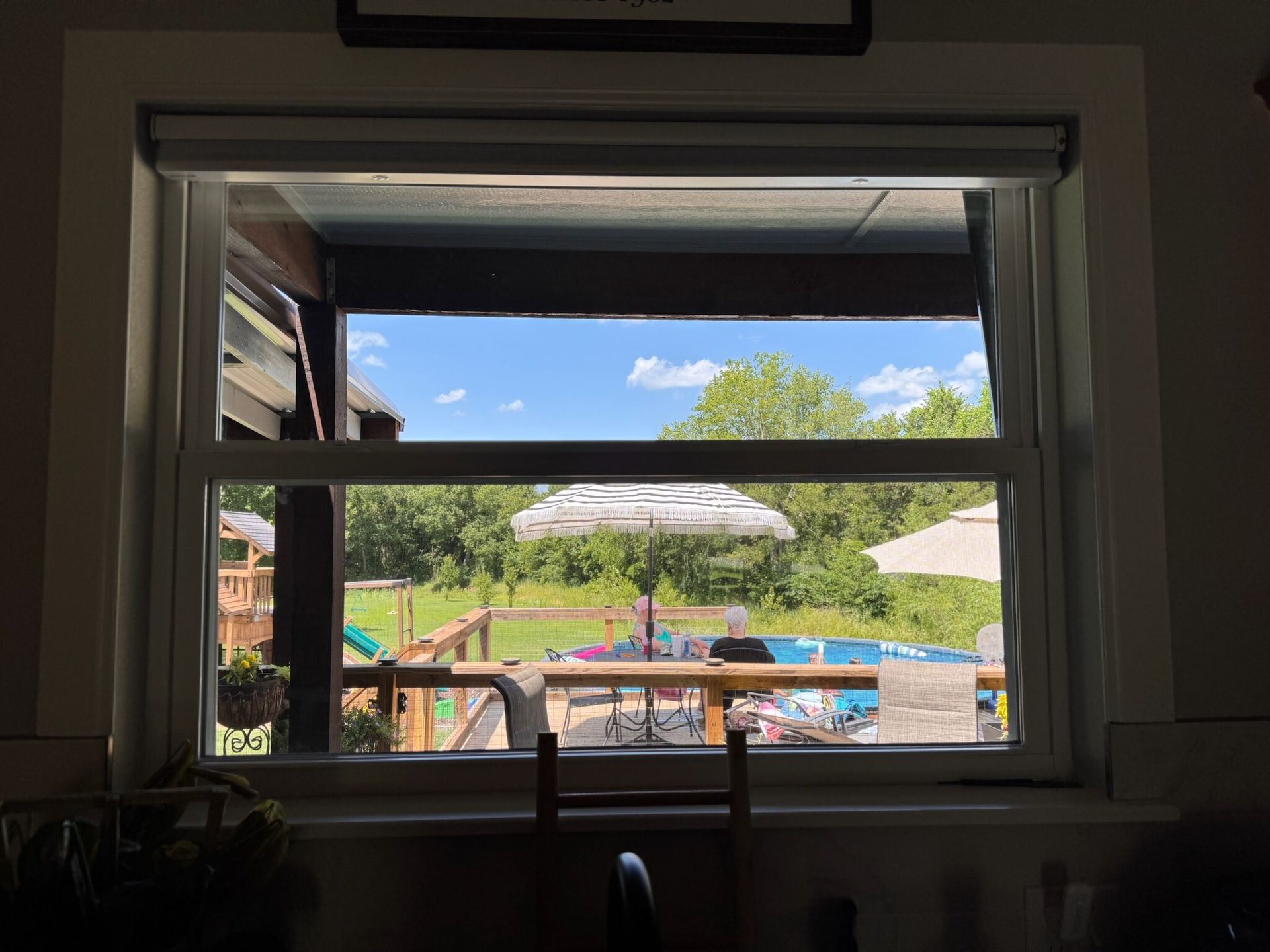 Window looking out to a backyard with pool, trees, and sky. White frame, roll-up shade partially down.