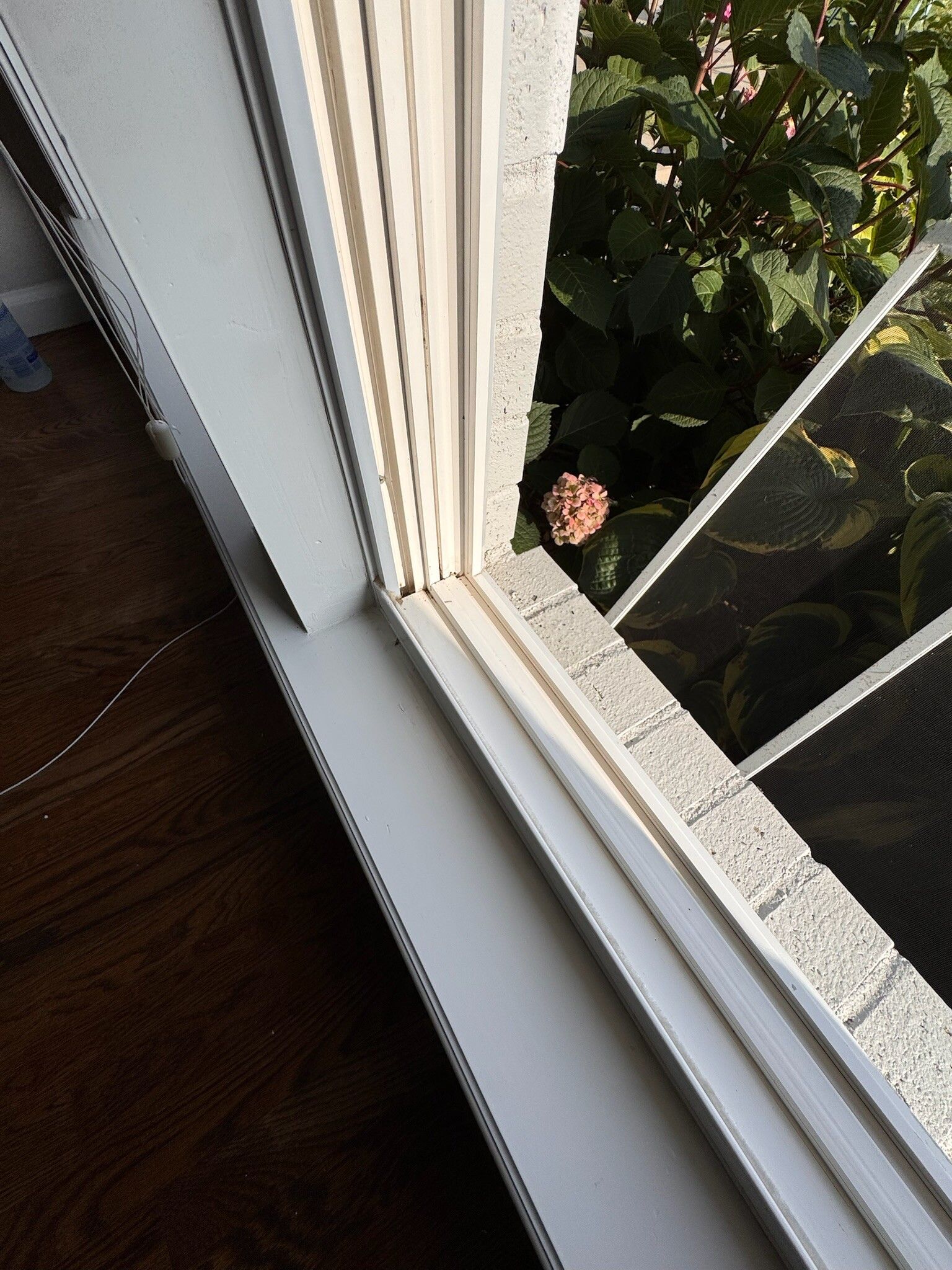 View from a window showing a white frame, wood floor, and green foliage outside.