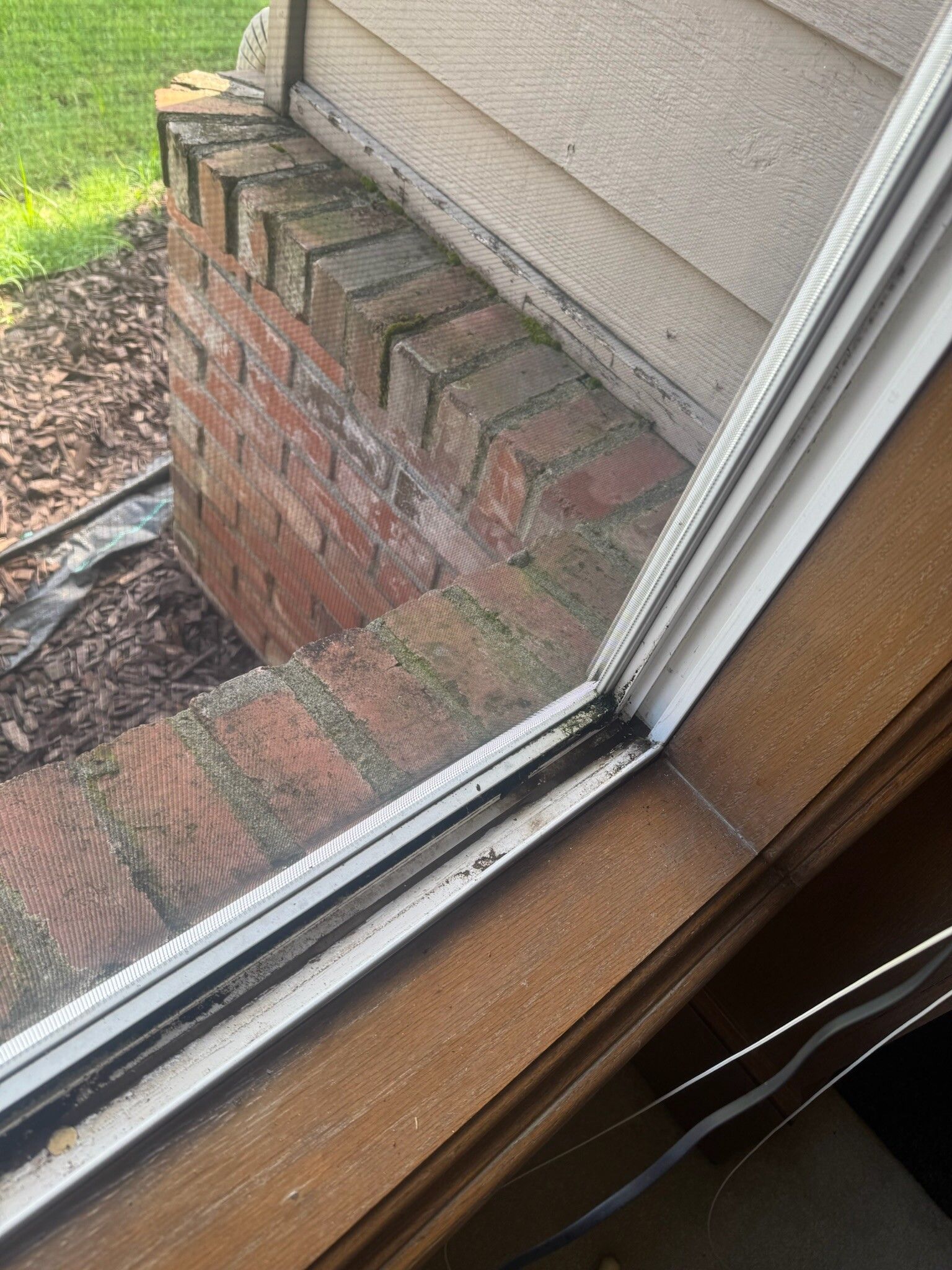 Window frame with dirty screen next to a brick wall.