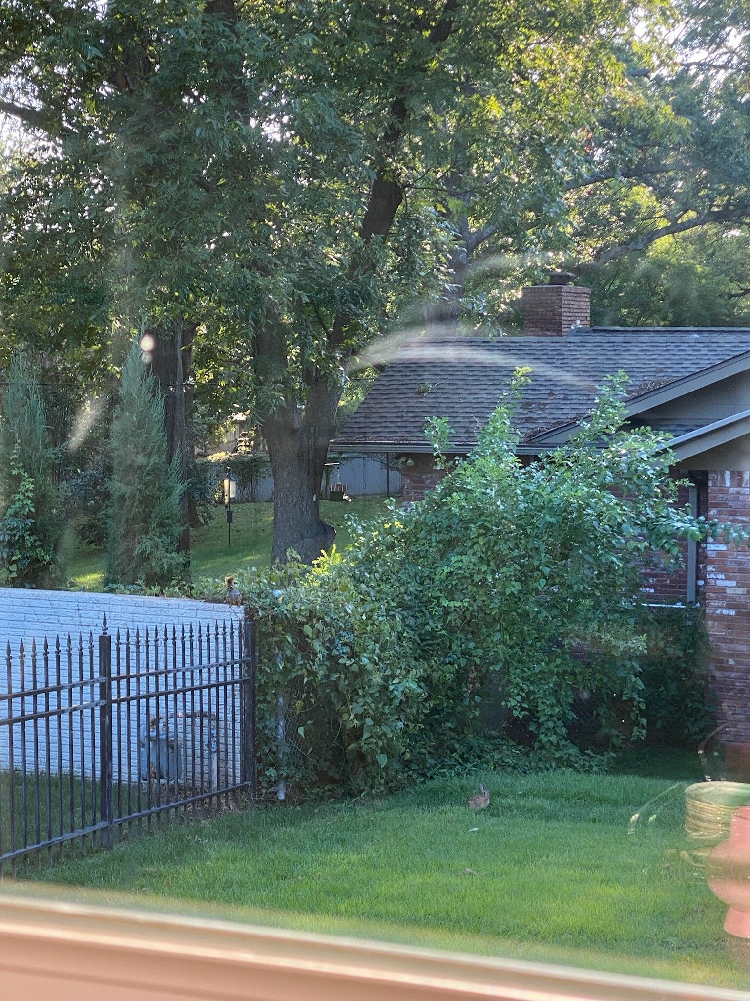 A house with a brick facade behind a black fence, with trees and a green lawn.