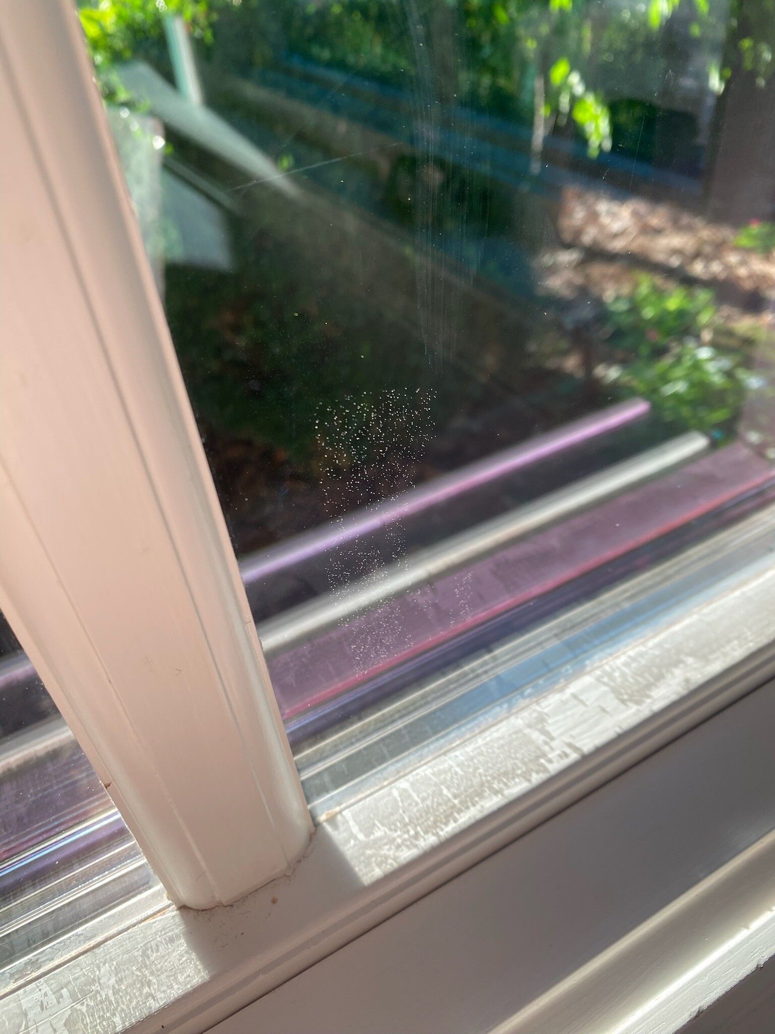 White window frame with a cluster of small white dots on the glass, blurred green outside.
