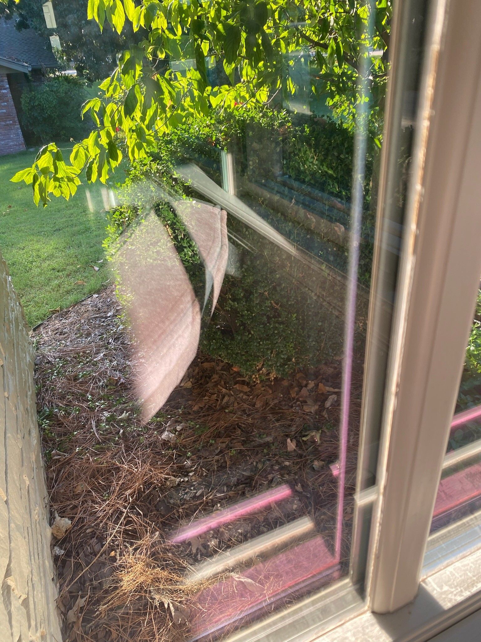 View through a window, showing trees, grass, and a path outside. Sunlight reflects on the glass and window frame.
