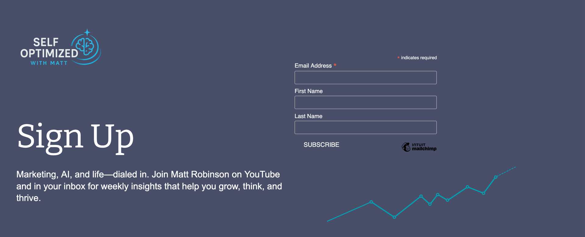Selfoptimized.net website image