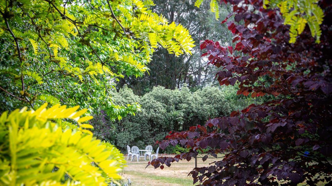 An image of the fitz garden with trees and chairs in the background.