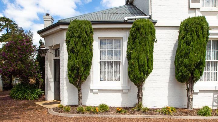 Fitzpatricks bar room from the outside, showing the shaped conifers along the side of the building.