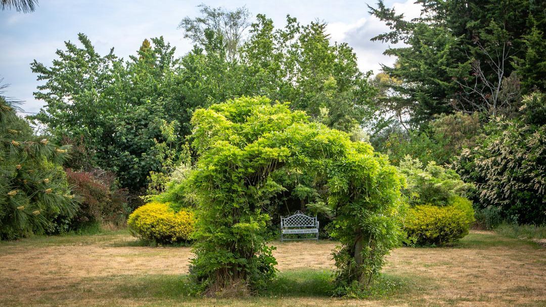 Part of the garden at the fitzpatricks inn with an archway and garden seat