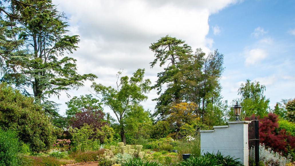 Garden from the front driveway