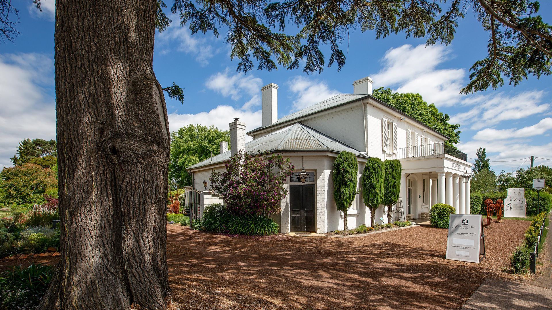 A large white house with a tree in front of it.