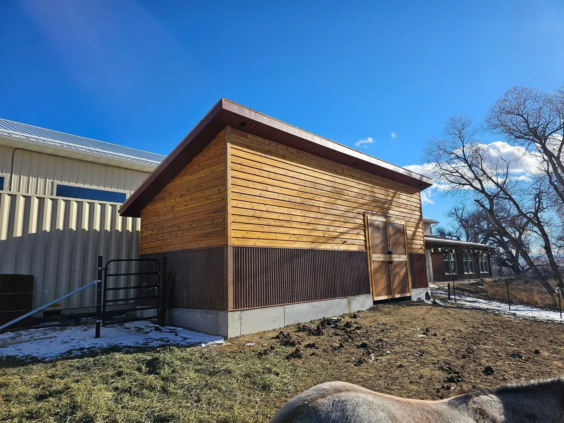 A horse is standing in front of a wooden building