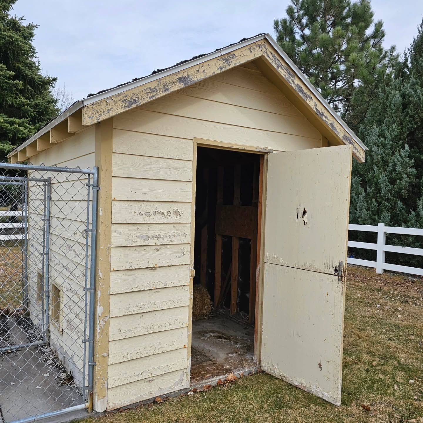 A small shed with the door open and a chain link fence behind it.