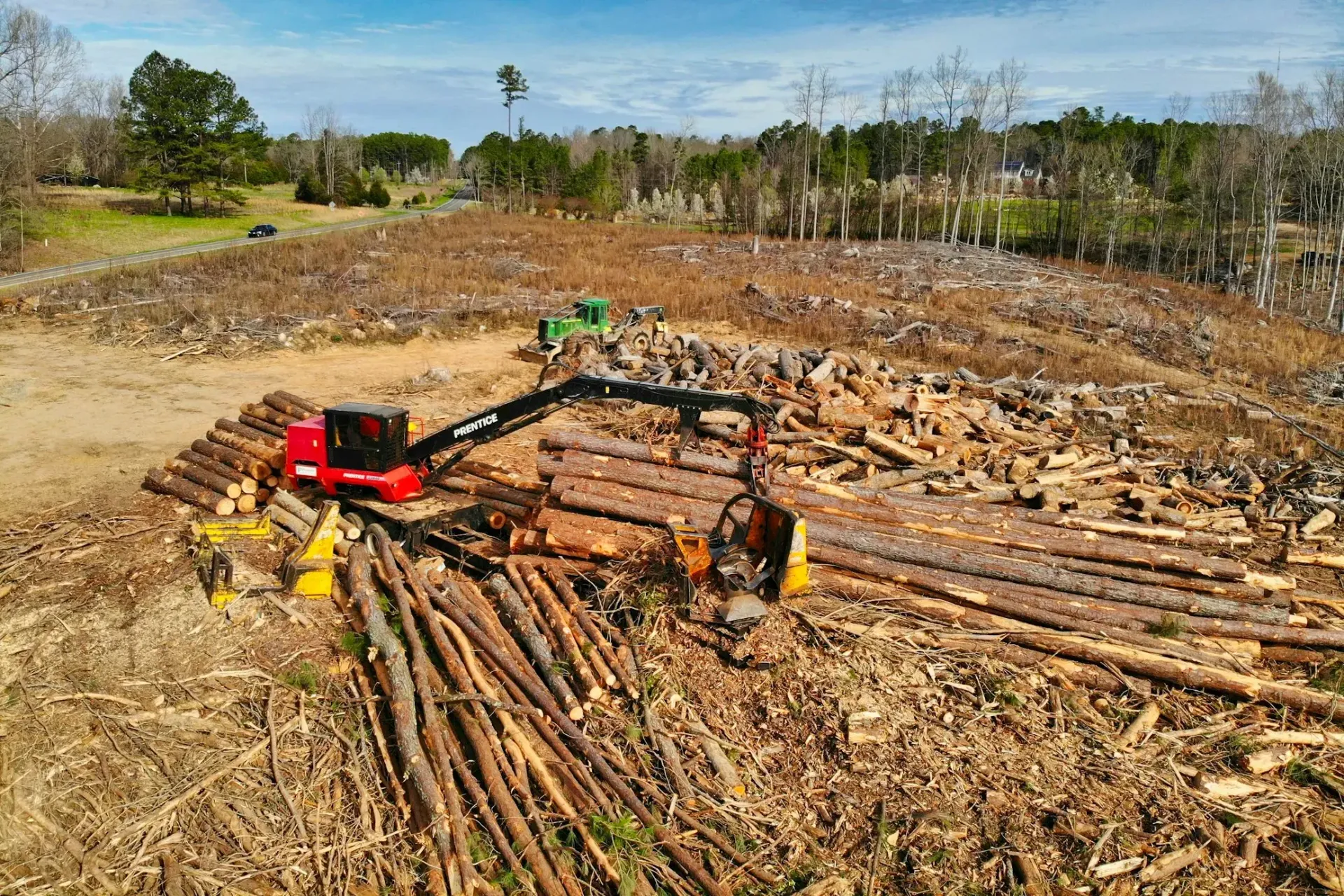 average cost of taking down a tree

