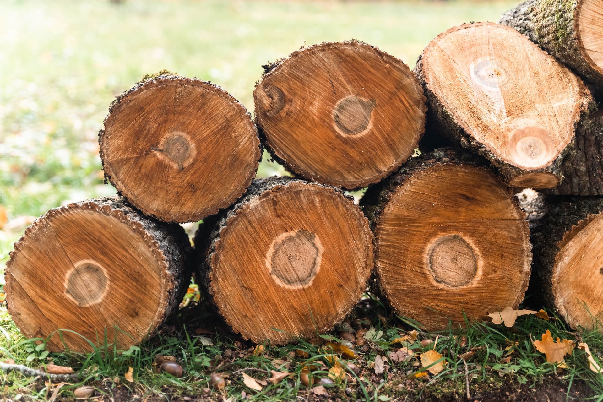 firewood for sale new jersey
